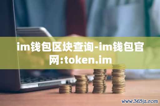 如何通过imToken官网查询历史交易记录_q币消费记录查询官网_信用不良记录查询官网