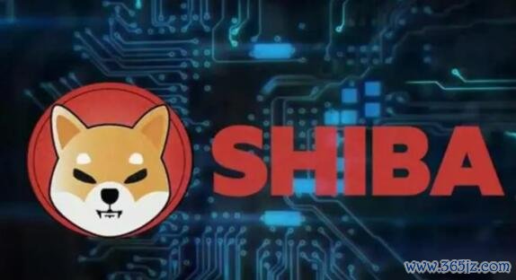 下载ok官方app